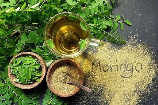 Moringa Oleifera moringa magic